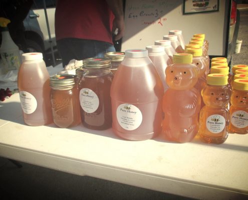 The Flying Honey Bee